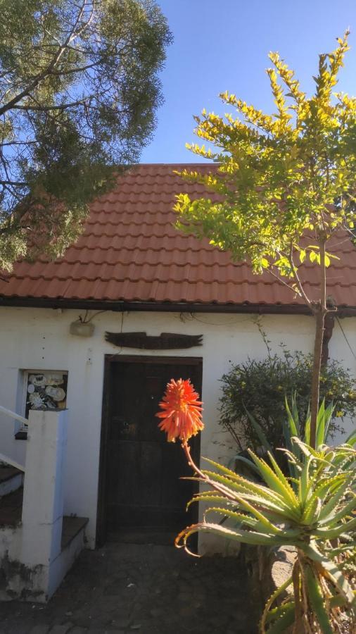 Atlantic Pearl Guest House Midrand Kültér fotó